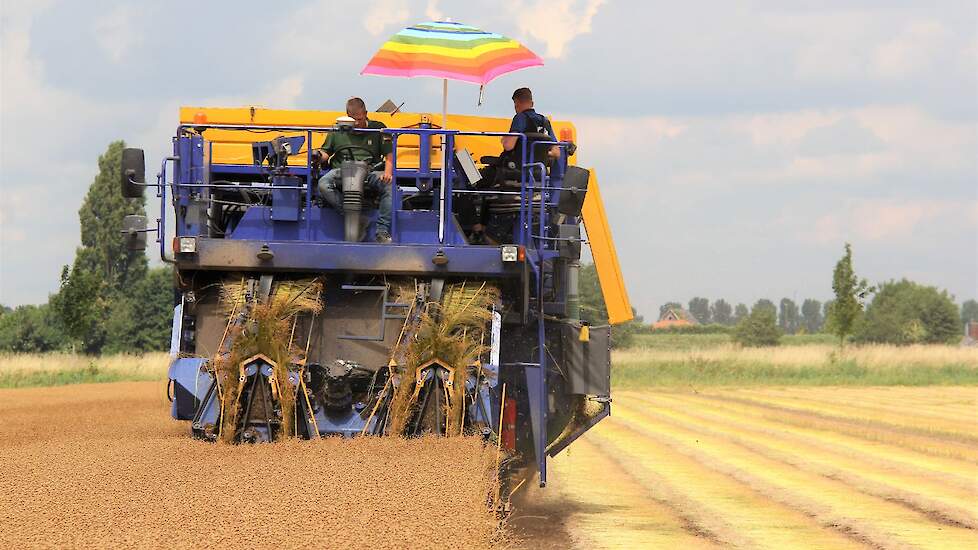 Beeld van zonbescherming tijdens vlasoogst ter illustratie.
