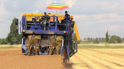 Beeld van zonbescherming tijdens vlasoogst ter illustratie.