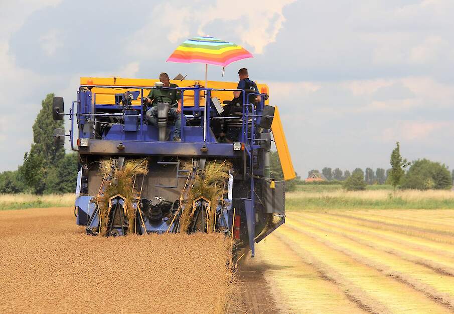 Beeld van zonbescherming tijdens vlasoogst ter illustratie.