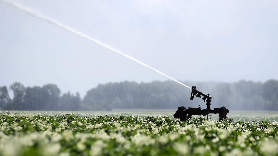 Beeld van beregening aardappelen ter illustratie.