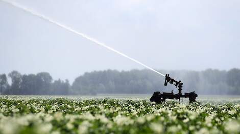 Beeld van beregening aardappelen ter illustratie.