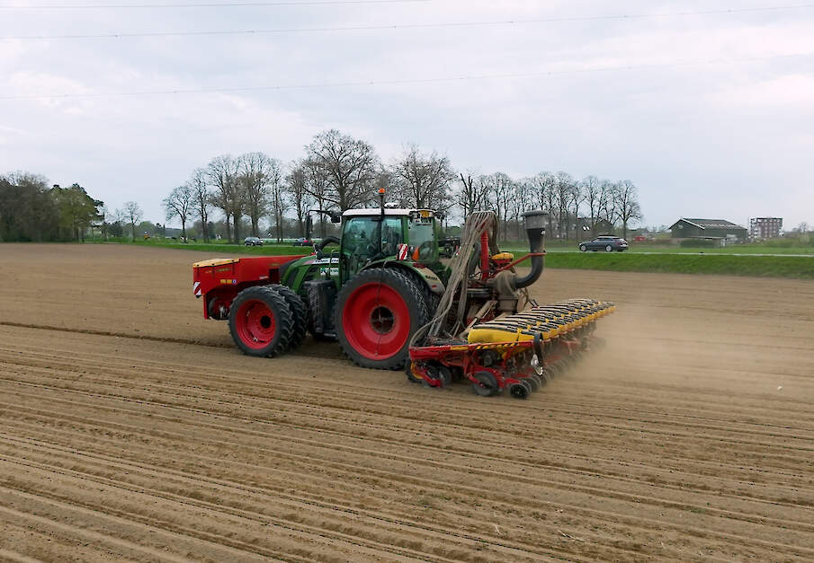 Bieten zaaien is weer volop aan de gang