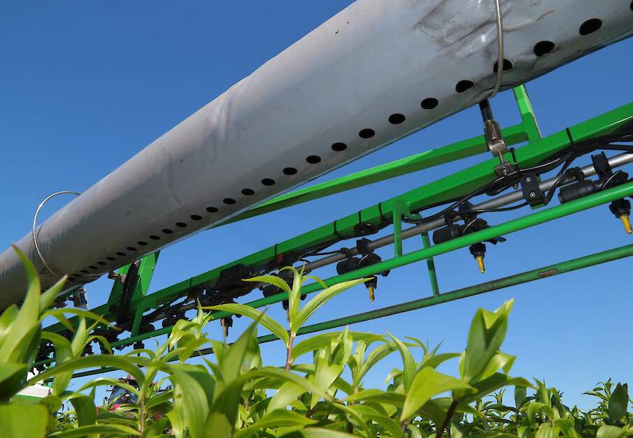 Beeld ter illlustratie.