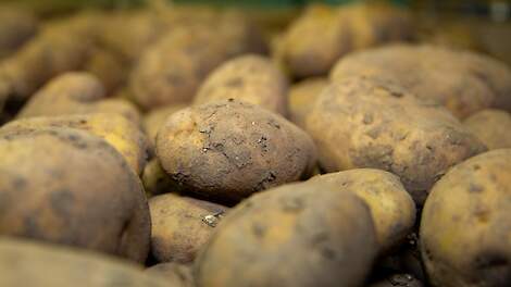 Aardappelen kunnen een aantrekkelijk aanvulling op het rantsoen zijn