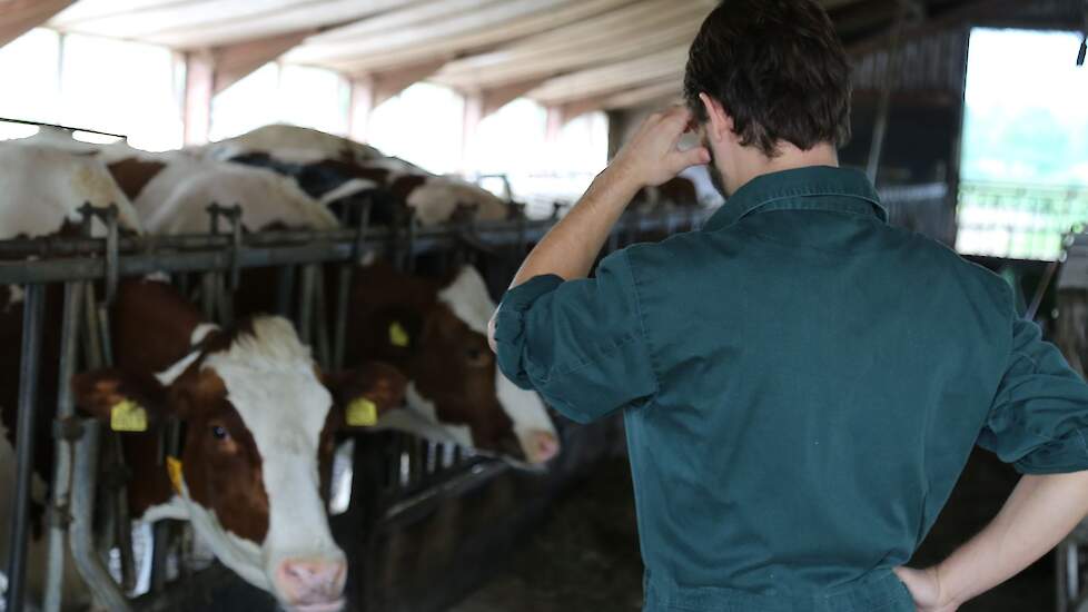 Meer melkveehouder hebben moeite om het hoofd boven het water te houden