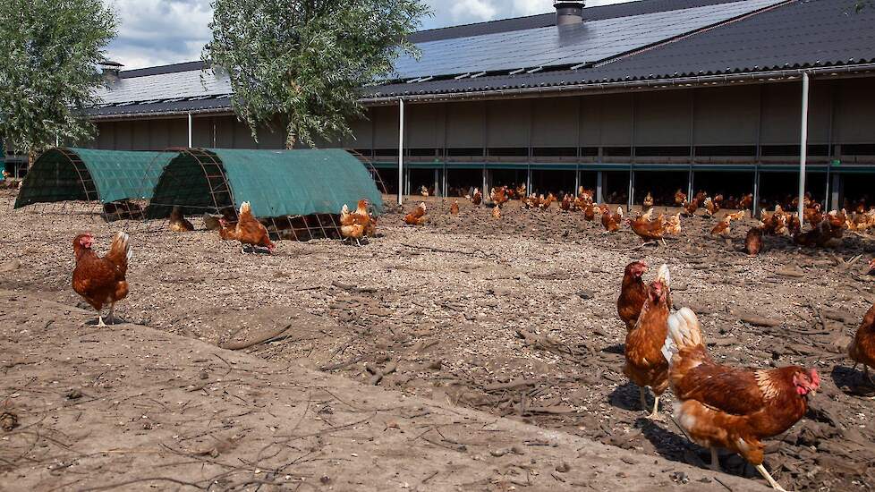 Beeld ter illustratie.