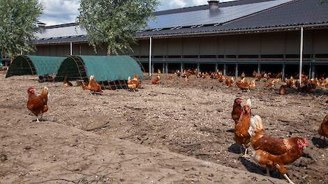 Beeld ter illustratie.