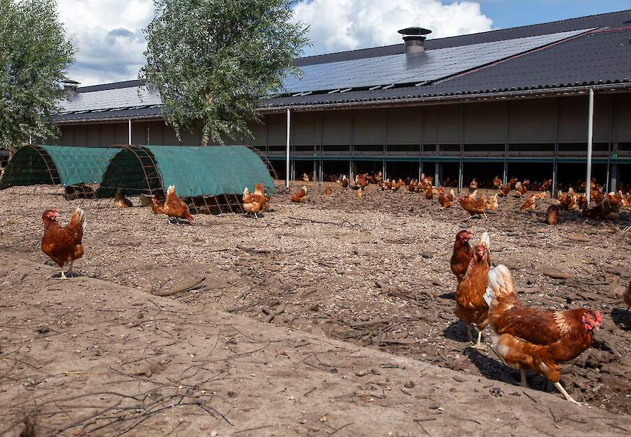 Beeld ter illustratie.