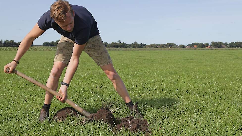Stan Bosman aan het werk in een weide