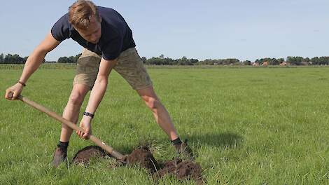 Stan Bosman aan het werk in een weide