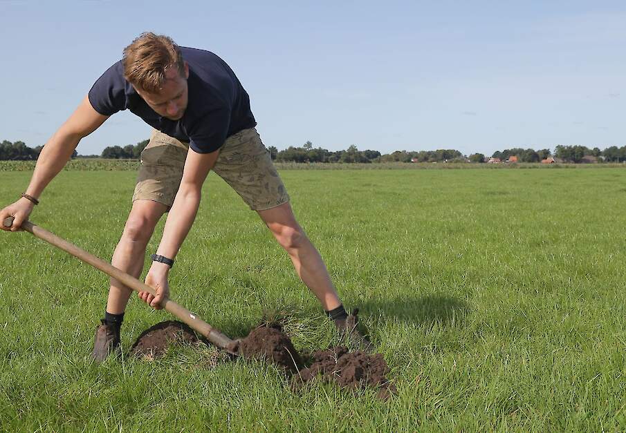 Stan Bosman aan het werk in een weide