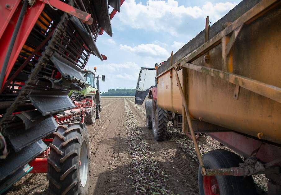 Beeld ter illustratie.