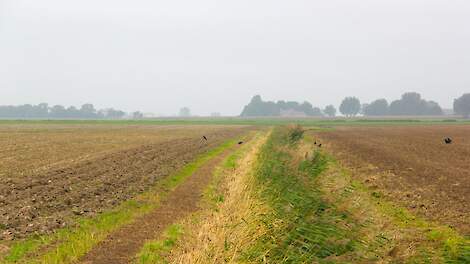 Stroken greppel tussen akkers