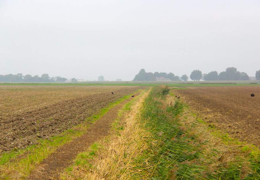 Stroken greppel tussen akkers