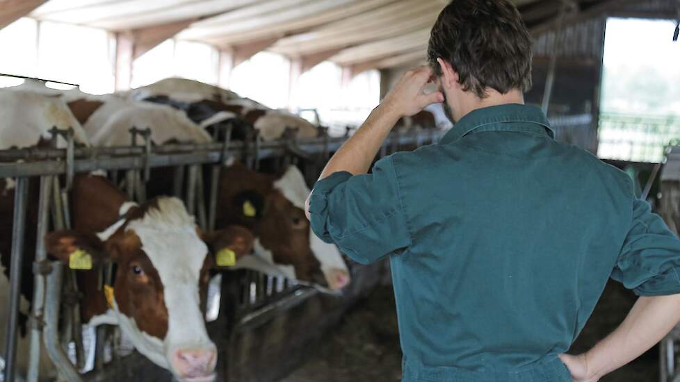 Beeld ter illustratie.