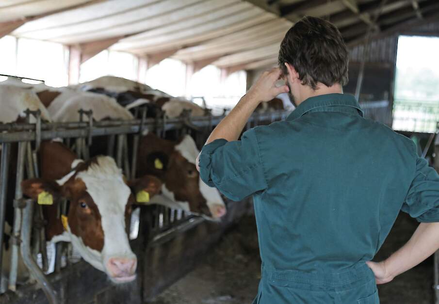 Beeld ter illustratie.