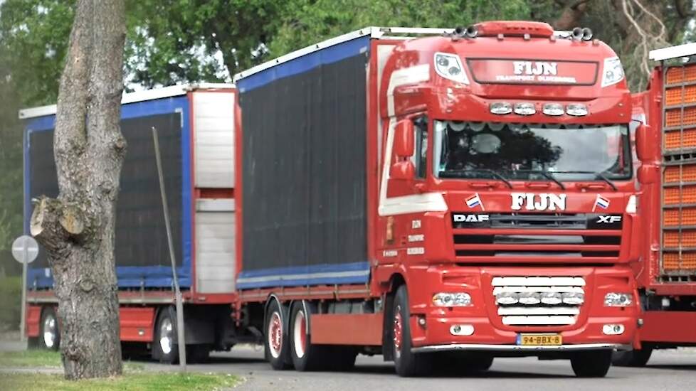 Vanaf 1 april volgend jaar mogen boven de 30 graden Celsius geen dieren meer getransporteerd worden.