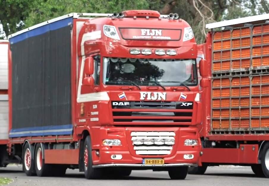 Vanaf 1 april volgend jaar mogen boven de 30 graden Celsius geen dieren meer getransporteerd worden.