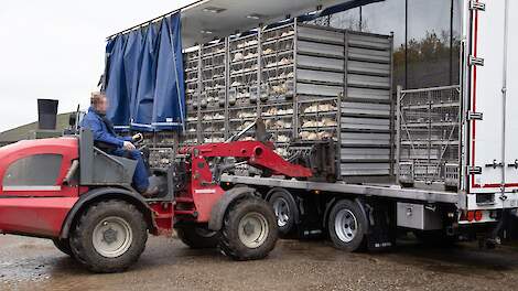 Beeld ter illustratie.