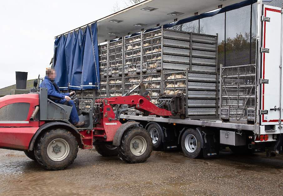 Beeld ter illustratie.