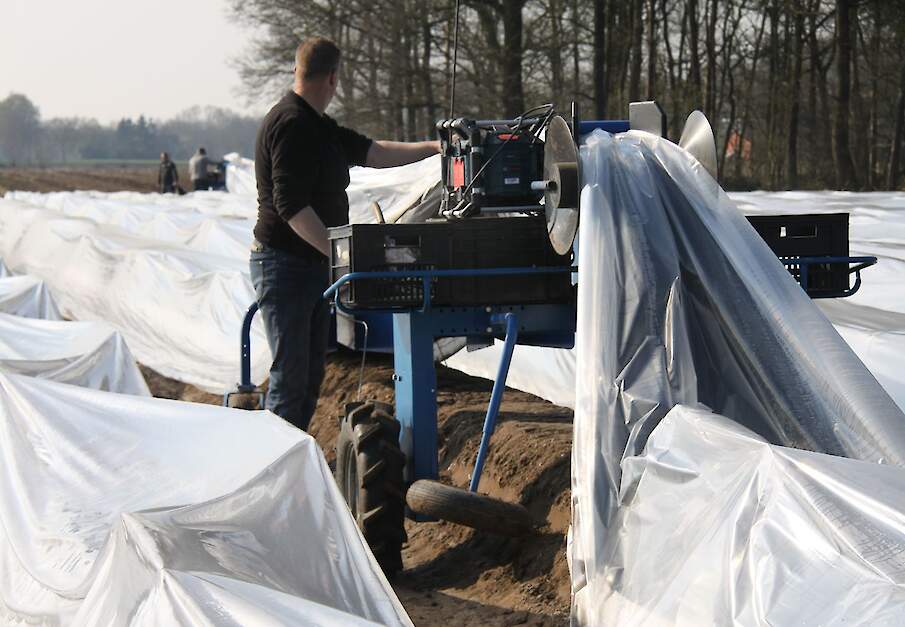 Beeld van tunnels voor asperges ter illustratie.
