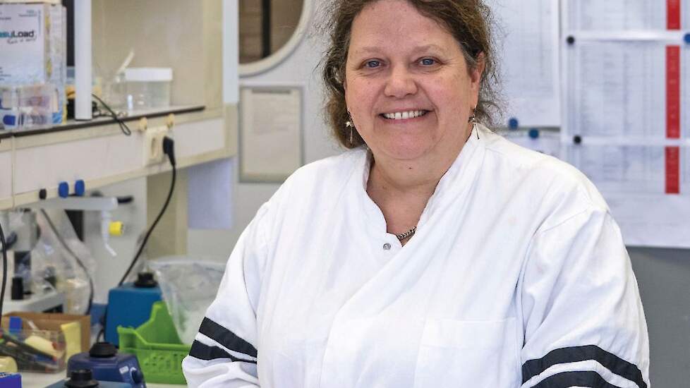 Anne van Diepeningen.