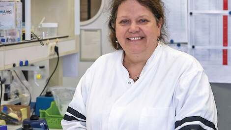 Anne van Diepeningen.