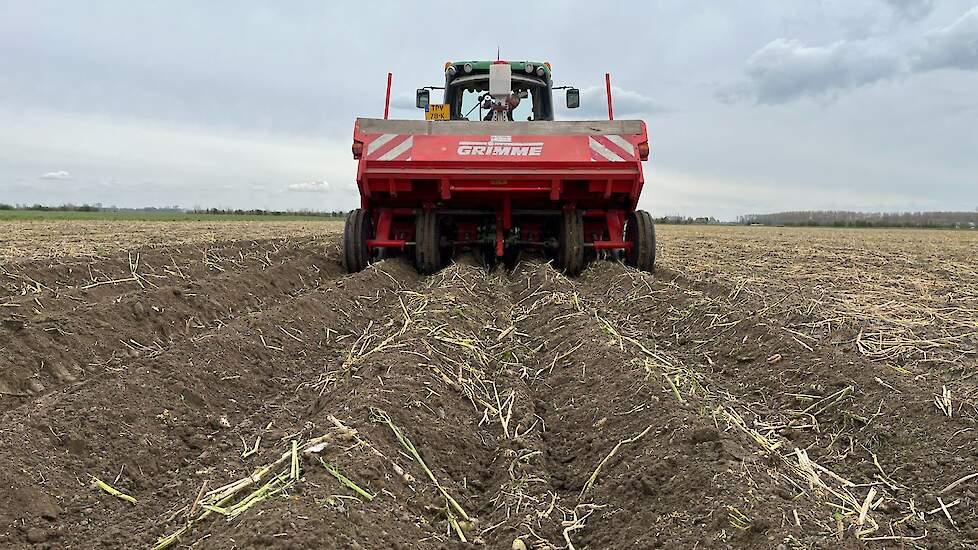 DSV TerraLife SolaRigol groenbemester