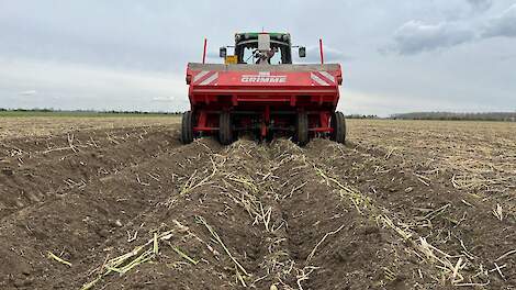 DSV TerraLife SolaRigol groenbemester