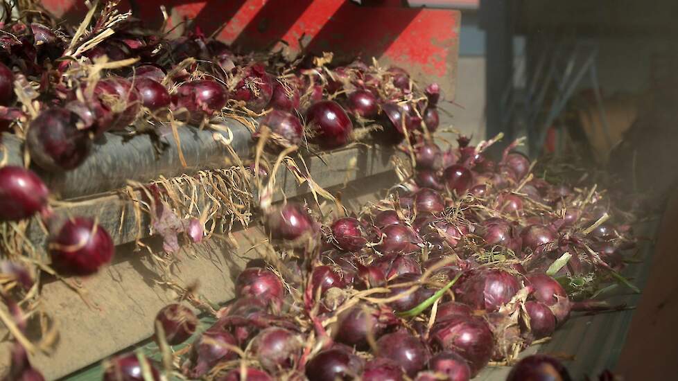 Beeld ter illustratie.