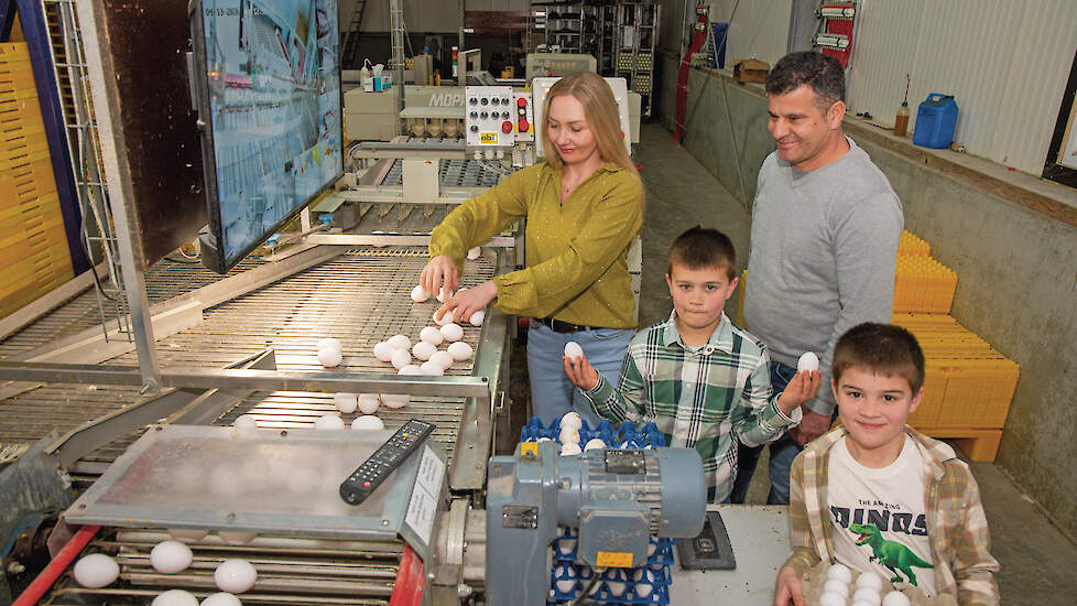 Samen met zijn echtgenote Editta bestiert Salah Ibrahim leghennenbedrijf Vrij en Blij.