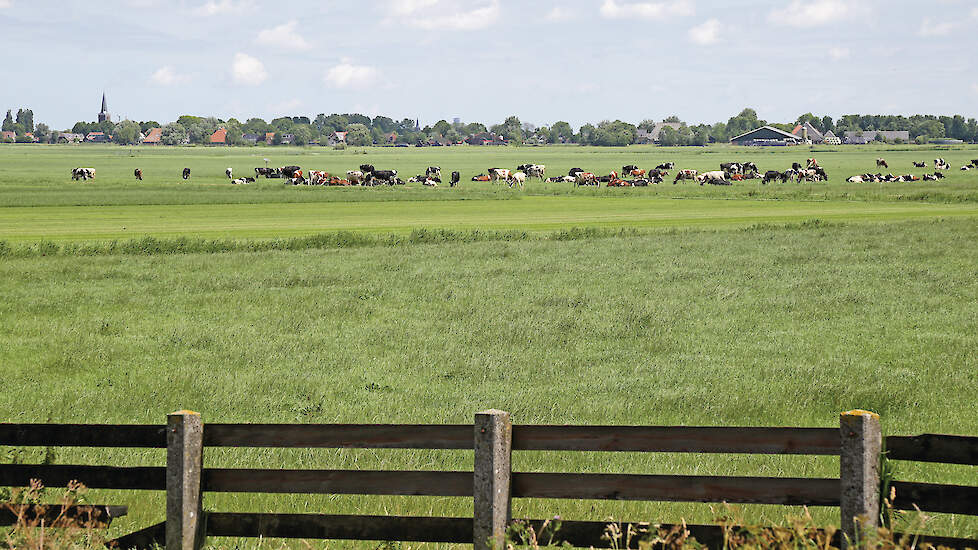 Vanuit Zuidoost-Friesland leven er zorgen over extra stikstofmaatregelen.