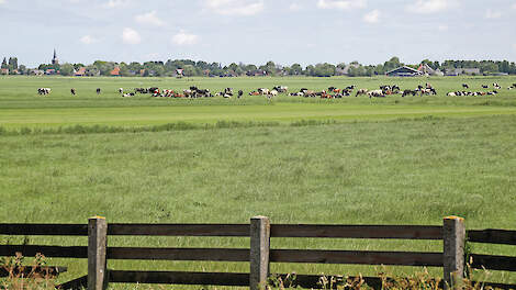 Vanuit Zuidoost-Friesland leven er zorgen over extra stikstofmaatregelen.