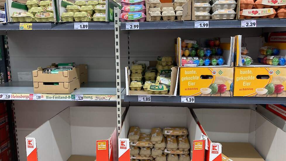 De vraag naar eieren in de Duitse retail blijft hoog. In sommige Duitse regio's zijn er nog steeds lege plekken in de eierschappen van supermarkten.