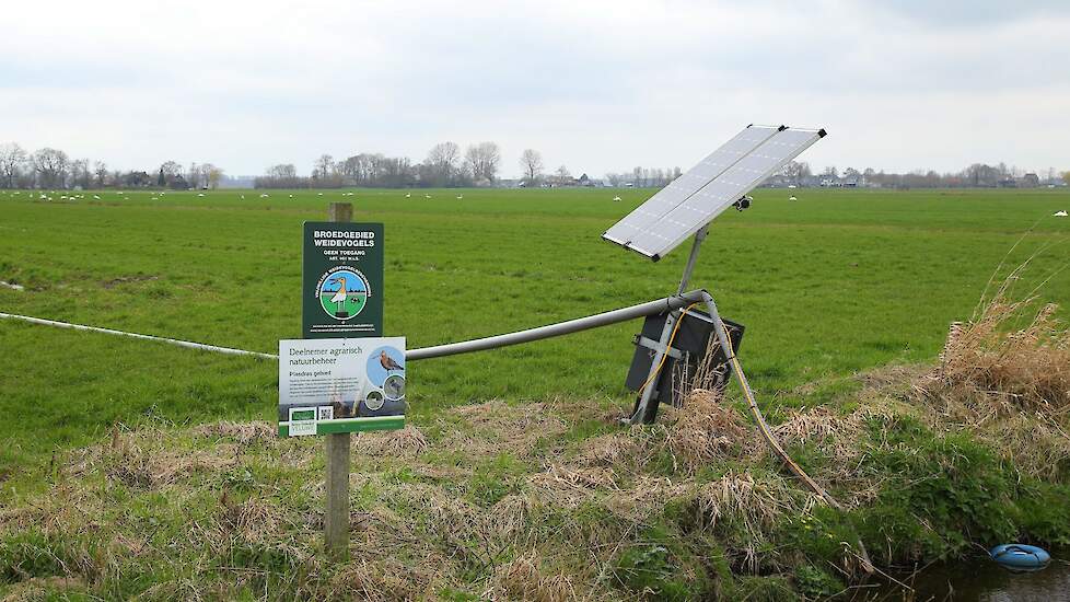 Agrarisch natuurbeheer een weidevogelgebied