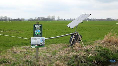 Agrarisch natuurbeheer een weidevogelgebied