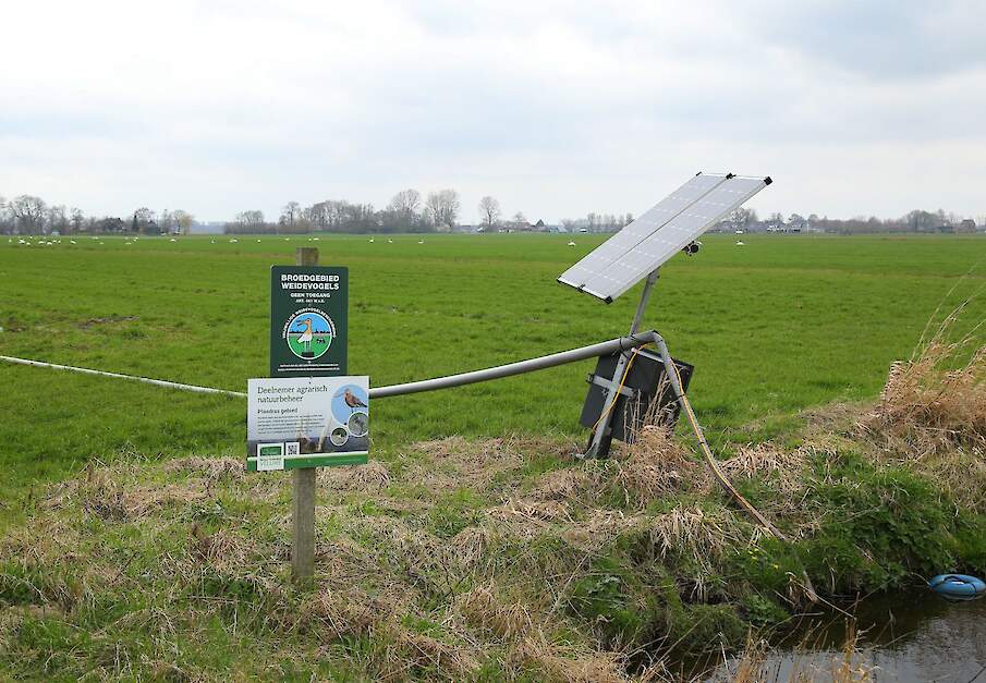 Agrarisch natuurbeheer een weidevogelgebied