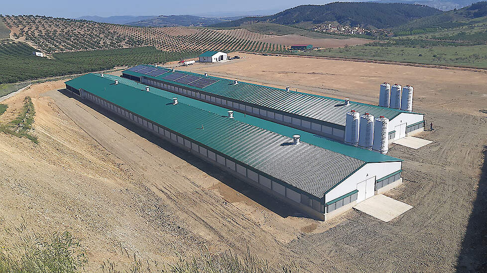 Vleeskuikenstallen in Spanje.