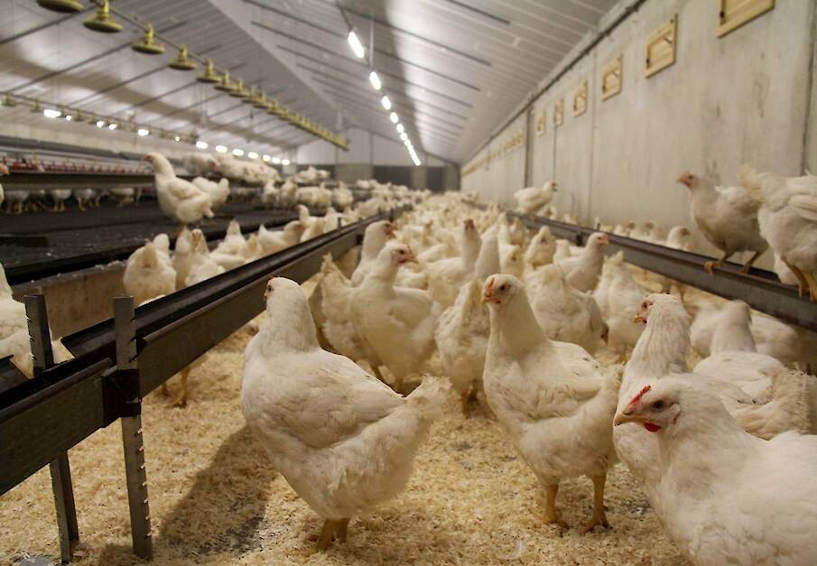 Beeld ter illustratie.