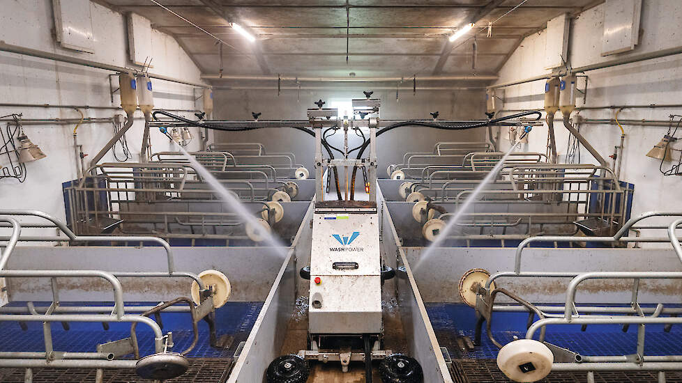 Wasrobot bespaart arbeid op varkensbedrijf