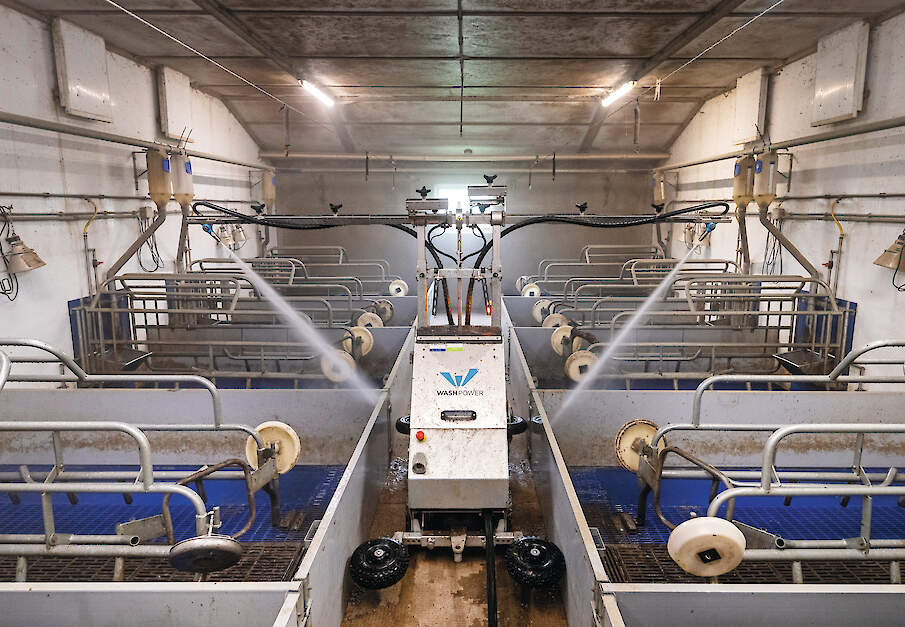 Wasrobot bespaart arbeid op varkensbedrijf