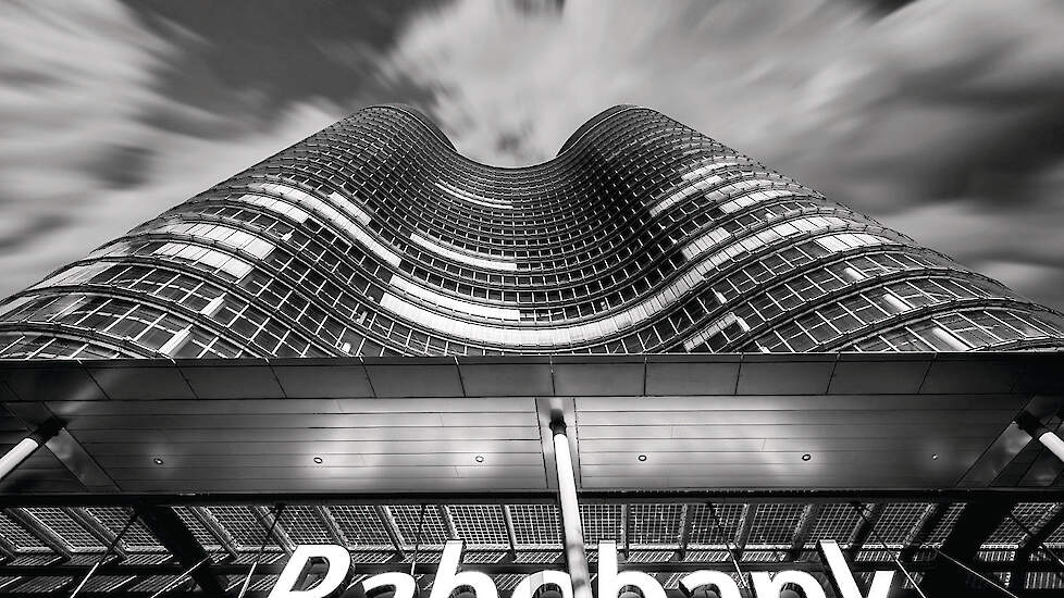 Overaanbod, dalende prijzen en exportproblemen zetten de Europese varkenssector onder druk, aldus Rabobank