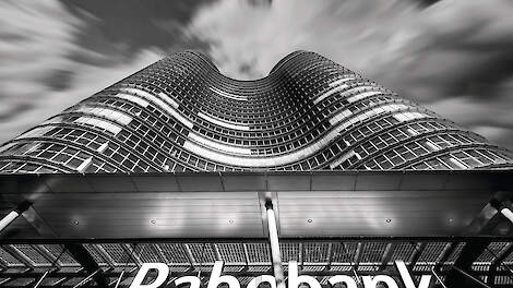 Overaanbod, dalende prijzen en exportproblemen zetten de Europese varkenssector onder druk, aldus Rabobank