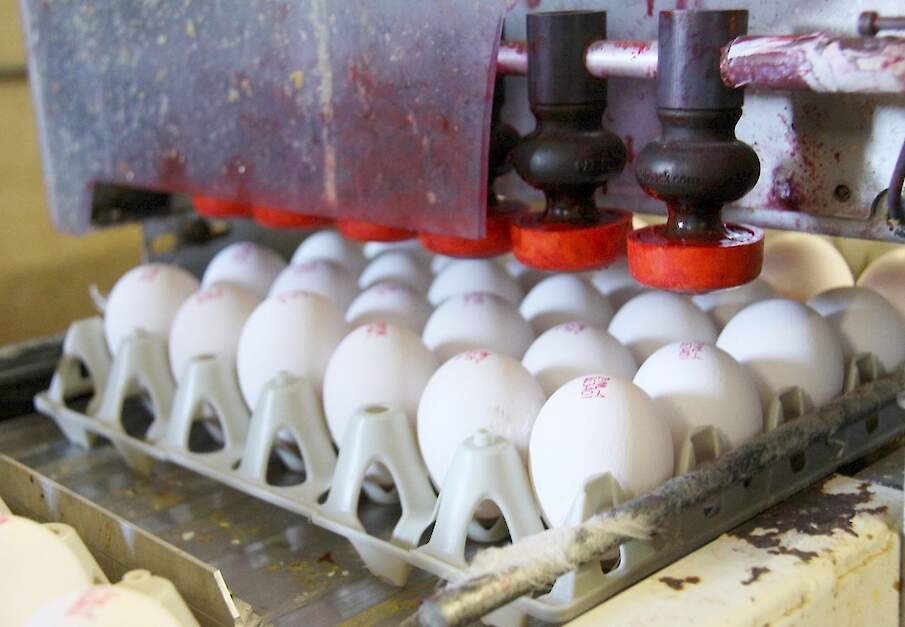 Beeld ter illustratie.