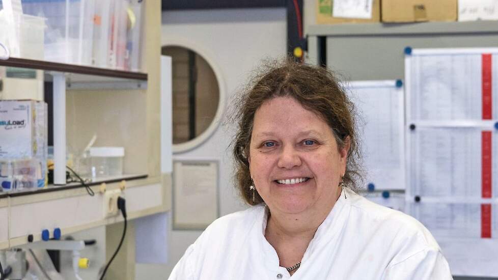 Anne van Diepeningen is bioloog en gespecialiseerd in microbiologie en schimmels.