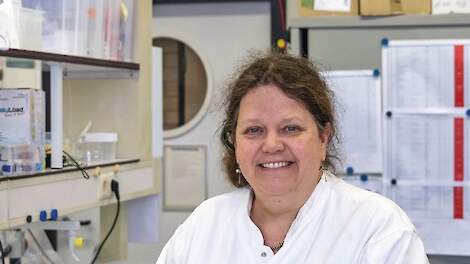 Anne van Diepeningen is bioloog en gespecialiseerd in microbiologie en schimmels.