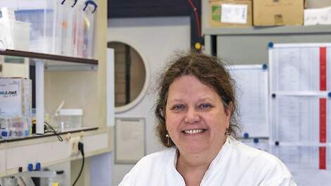Anne van Diepeningen is bioloog en gespecialiseerd in microbiologie en schimmels.