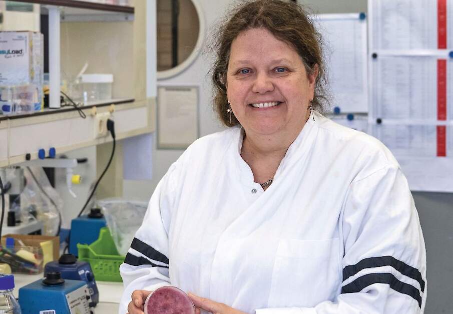 Anne van Diepeningen is bioloog en gespecialiseerd in microbiologie en schimmels.