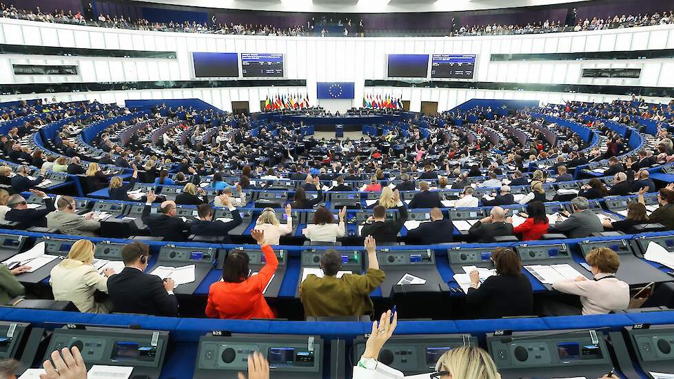 Stemming in het Europese Parlement