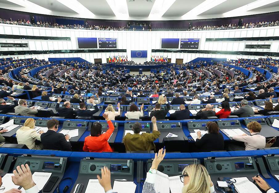Stemming in het Europese Parlement